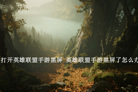 16赛季手游英雄联盟 英雄联盟手游几级可以打排位赛